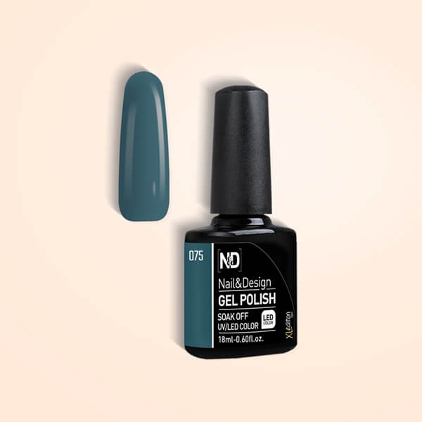 אן אנד די 075 פטגוניה