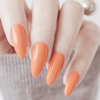 לק ג'ל 102 Picasso סברינה – תמונה 2