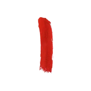 209-Swatch.webp ליפגלוס עמיד מאט MATTE LIPGLOSS | גוון: 209 | עדה לזורגן Adah Lazorgan