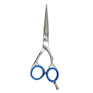 מספריים לעיצוב השיער מקצועיות | 6 אינץ' | דגם: 831-6 | רקס REX