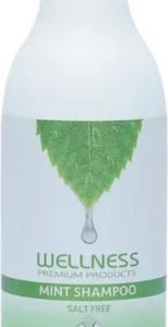 DAVIDI5098_050820241935471.jpg שמפו מנטה לניקוי קרקפת יסודי WELLNESS 500ML