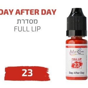 Screenshot_20211121-130216_Drive.jpg צבע פיגמנט איפור קבוע לשפתיים DAY AFTER DAY 23