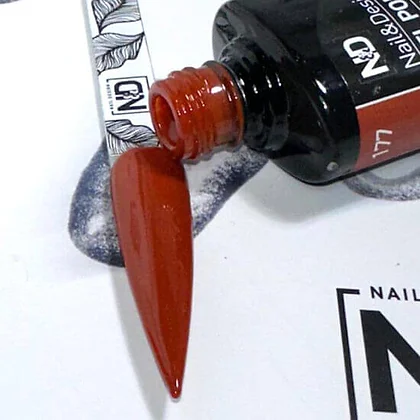 אן אנד די 177 רזיאלה – תמונה 2