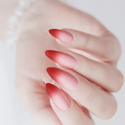 פיקאסו צבע בורדו לאייר בראש מס' 5 – תמונה 2